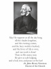 Saint John Henry Cardinal Newman Prayer Cards Doctor of the Church